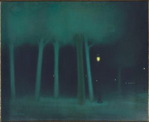 Park nocą